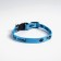 A collar for dogs with Fasteks "Give Five", 30 x 1 cm