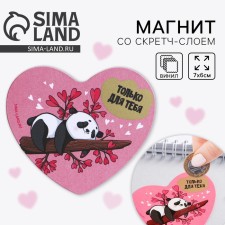 A magnet for a refrigerator with a stamp-layer 