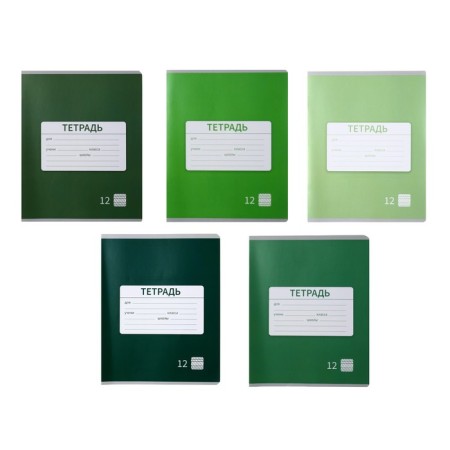 Notebook 12 sheets in a frequent slanting line is a plain "New School. Economy", cover coated paper, VD-flus, block No. 2 (gray sheets), mix
