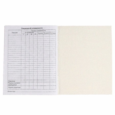 Diary for grade 1-11, in a soft cover, 48 l., Minnie Mouse-4