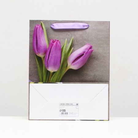 Laminated package, 26 x 32 x 12 cm-1