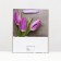 Laminated package, 26 x 32 x 12 cm