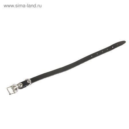 Single-layer leather collar, 30 x 1 cm, Osh 19-27 cm, black-3