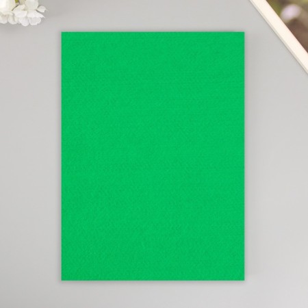 A set of soft felt "Astra" (3 pcs) green, 3 mm, 400 gr. 20x30 cm