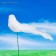 Plot for indoor plants "Bird" 3x5cm, 15cm / packing 12pcs, price per pcs