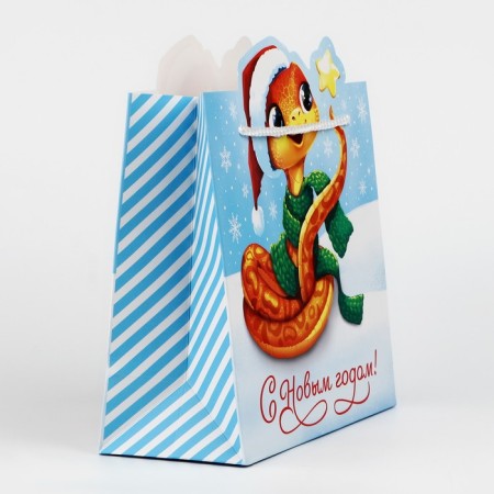 Gift package "Snake", 25 x 26 x 10 cm, New Year-3