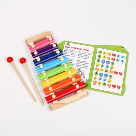 Metallophone, 8 tones + cards with songs-1