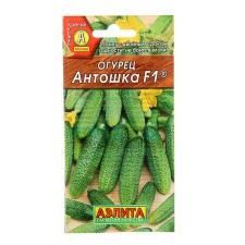 Cucumber seeds 