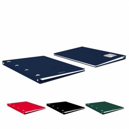 Notebook on A4 rings, 80 sheets in the Erichkrause "Classic", a plastic cover, an offset unit, whiteness is 100%, mix-8