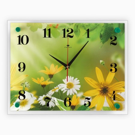 Wall watches: flowers, "chamomile", 30x40 cm