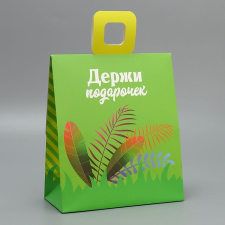Gift package with a mold valve, packaging, “Lion”, 23 x 27 x 11.5 cm-4