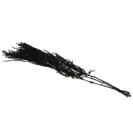 Dry flowers of amaranth, 100 g, sheet size: from 50 to 60 cm, black color-3