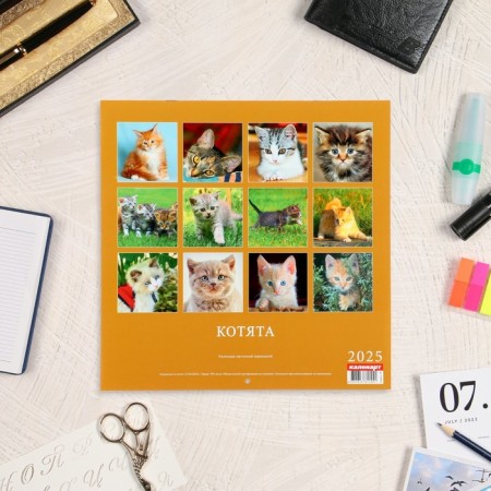 Calendar of the Overdoing on the Kitteet's paper clip 2025, 12 sheets, 29x29 cm-3