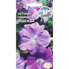 Flowers of Petunia 