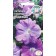 Flowers of Petunia "Nadezhda" 1 g