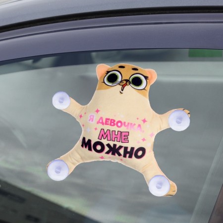 Auto Line "I'm a girl, I can", a cat, on suction cups-3