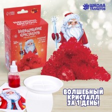 Новогодний набор для творчества. Выращивание кристаллов «Новый год! Дед Мороз», цвет красный