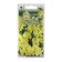 Flower seeds Lion Zev "Snabshot Ellou", 10 pcs