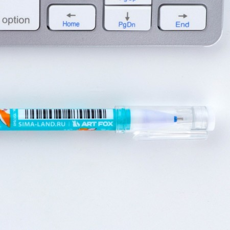 PEC PLACE WRITE-WRITIRY WITH A CORGIC cap, Blue pasta, gel 0.5 mm-6
