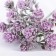 Bouquet "Ground" with spraying, 17 cm, mix