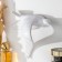 Souvenir Polystone Wall Decor "Seagull, Wings down" White 17.5x20 cm