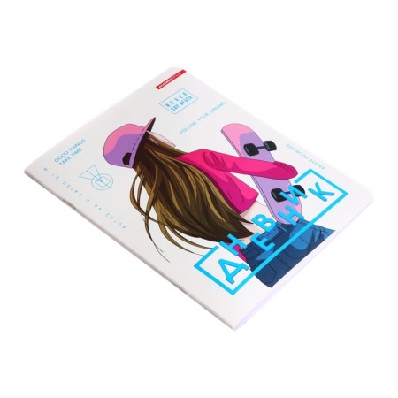 Universal diary for grades 1-11, 48 sheets on the clip "Girl Skereter", plastic cover, offset unit-1