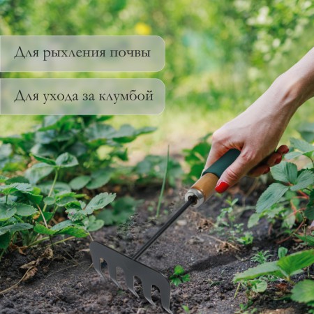 Grave are small, straight, 5 teeth, length 29 cm, metal, wooden handle with foam rubber, Greengo-4