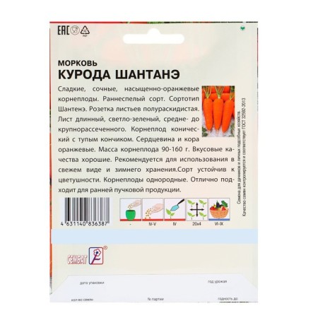 XXXL seeds "Kurod Chanstan", 10 g-1