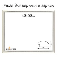Frame for paintings (mirrors) 40 x 50 x 2.7 cm, plastic, calligrata 6472, silver