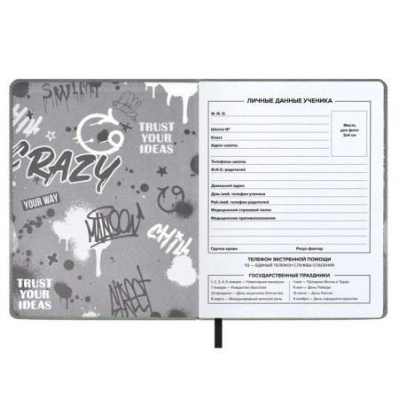 School diary for grades 1-11 Crazy Hand, hard cover with artificial leather foam, foil embossing, 48 sheets, an offset block 80g/m2, universal cheat sheet-2