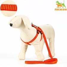 Acunition set is embossed, leash 120 x 1.5 cm, OG 36-49 cm, red-yellow