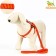 Acunition set is embossed, leash 120 x 1.5 cm, OG 36-49 cm, red-yellow