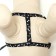 Set "Classic", leash 120 x 1 cm, fire 28-47 cm, black