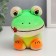 Growing gift Eco -Zhizhivchik "Frog Novik" mix