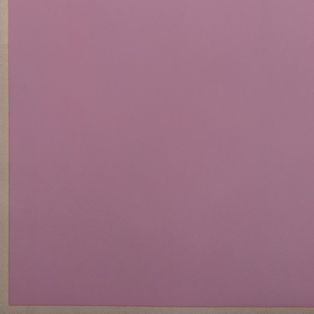 Flower film "Golden strip", dark powder, 57cm x 10m-4