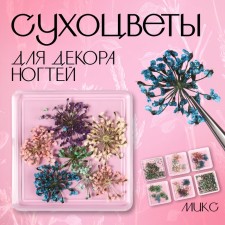Сухоцветы для декора ногтей, 6 видов, в футляре, разноцветные