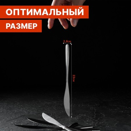 Stainless steel knives are Sentiment, length 23 cm, 6 pcs, silver color-1