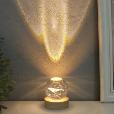 Souvenir glass backlight 