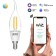 Smart lamp Gauss Iot Smart Home E14 4.5W 495lm Wi-Fi (Pack.: 1pc) (1280112)