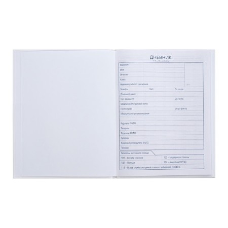 Universal diary for grades 1-11 "Romance", hard cover, matte lamination, sparkles, 40 sheets-4