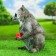 Garden figure "Raccoon with apple" 22x21x25cm