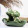 Set for spices "Frog"