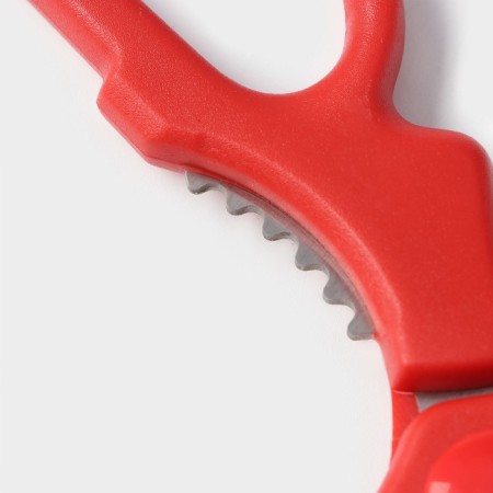 Scissors kitchen shares "Vega", 20 cm, color mix-4