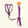 Set "Classic", leash 120 x 1 cm, fire 28-47 cm, purple