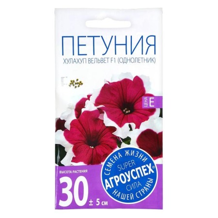 Flowers of Petunia "Hulahul Velvet" F1, o, 10pcs-1
