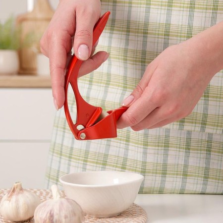 Press for garlic shares "Paints", 16 cm, color mix-3