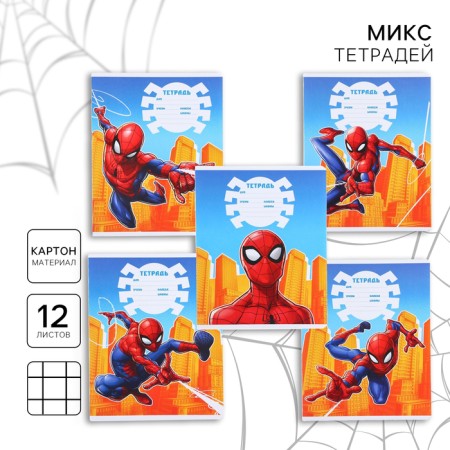 Notebook in a cage 12 sheets, 5 types of mix, cover coated cardboard, spider-man