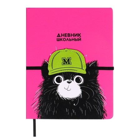 School diary for grades 1-11 "cat in a cap", firm cover with artificial leather foam, application, silk-screen water, 48 sheets, an offset block 80g/m2, universal cheat sheet