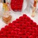 Soap rose, red