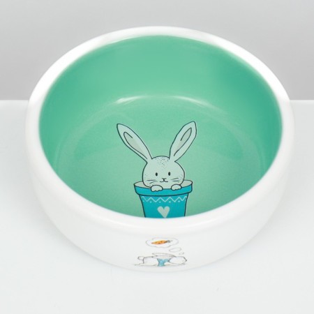Ceramic bowl for rabbits 200 ml 10 x 3.7 cm, mint/white-3